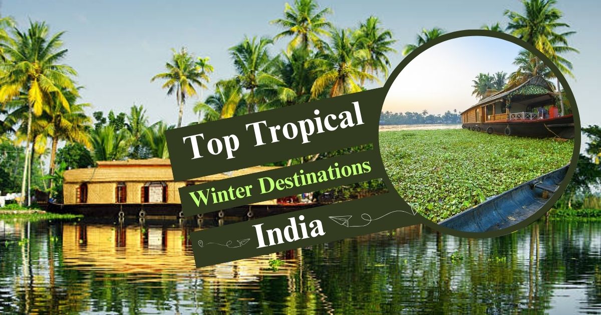 India’s Tropical Beaches: The Best Place to Visit in Winter
